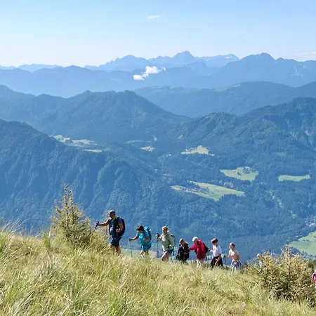 Am Waldbad, Campsite Dellach im Drautal