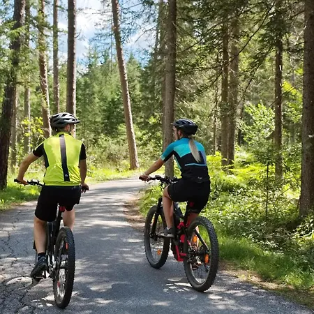 Am Waldbad, Campsite Dellach im Drautal